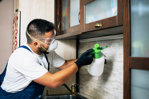Trusted Lookout Mountain, TN Pest Control Experts