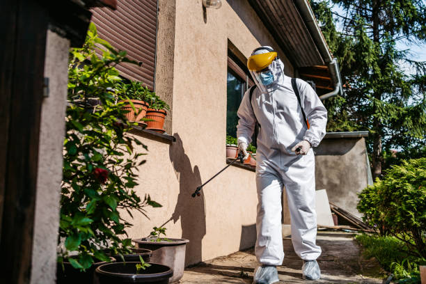 Best Pest Control for Businesses  in Lookout Mountain, TN