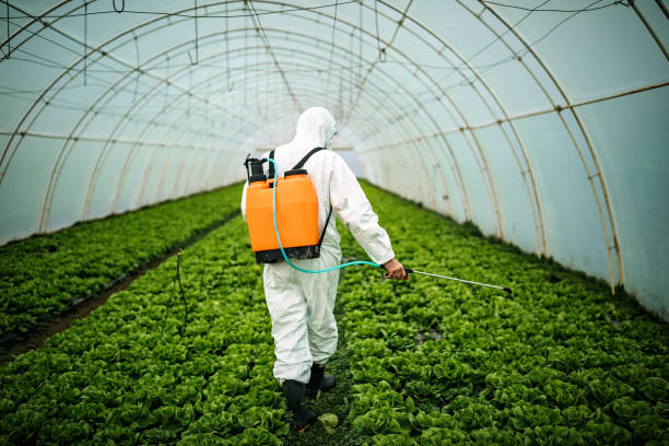 Best Commercial Pest Control Services  in Lookout Mountain, TN
